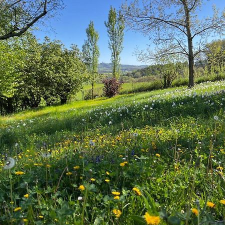 مبيت وإفطار Montjustin Bergerie المظهر الخارجي الصورة
