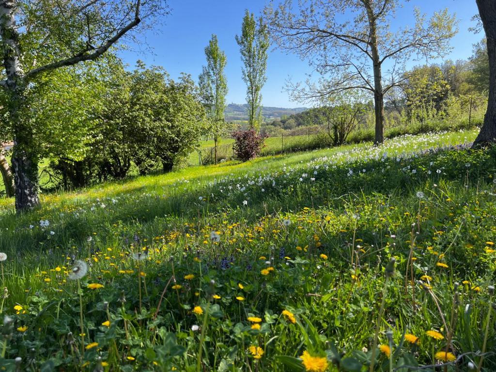 مبيت وإفطار Montjustin Bergerie المظهر الخارجي الصورة